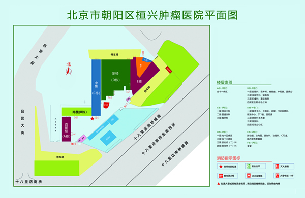 大jbcaow视频北京市朝阳区桓兴肿瘤医院平面图